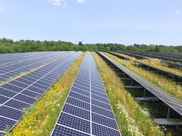 Free-Ways-to-Save-Energy-at-Home.jpg