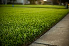 Palm Beach County Homes For Sale