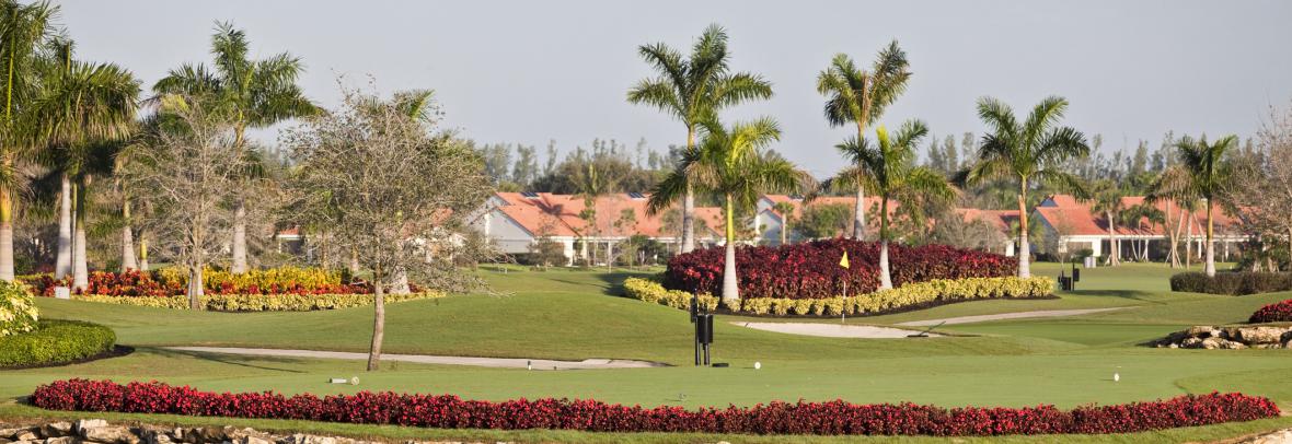 Florida master-planned community with modern homes, landscaped streets, and shared neighborhood amenities