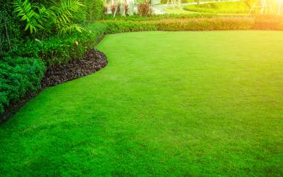 Palm Beach County Homes For Sale