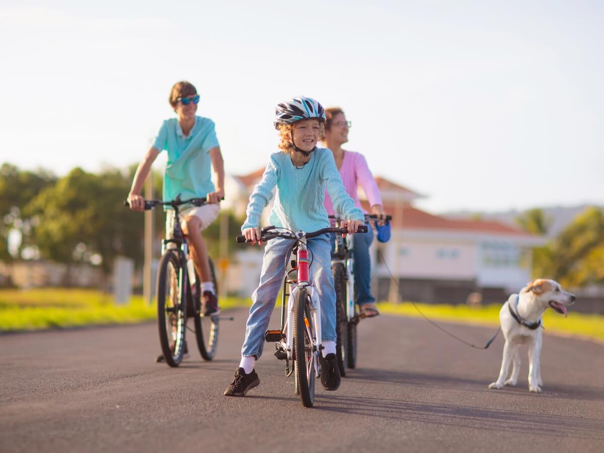 Riding bikes along a sunny, tree-lined Florida street