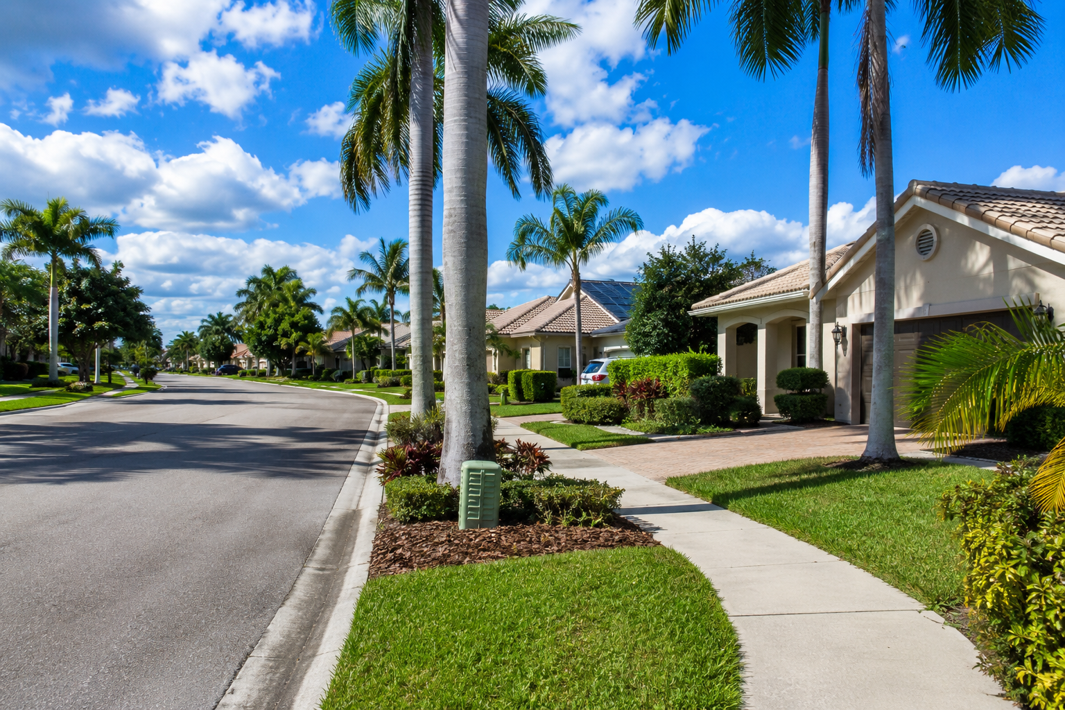 Palm tree-lined residential street in Wellington Florida with sidewalks, manicured lawns, and well-maintained suburban homes.