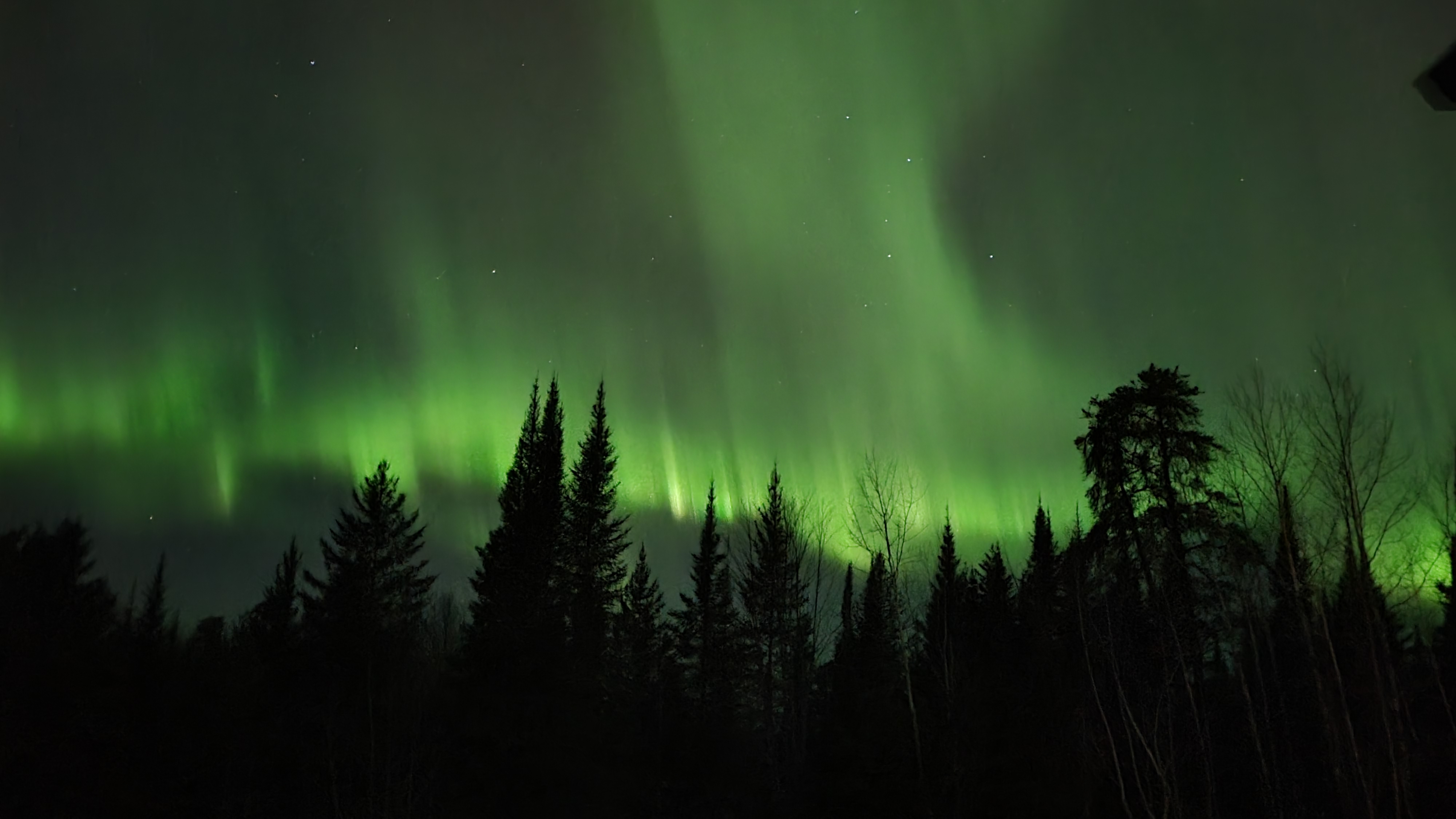 Elephant Lake Real Estate, Homes for Sale RE/MAX Lake Country