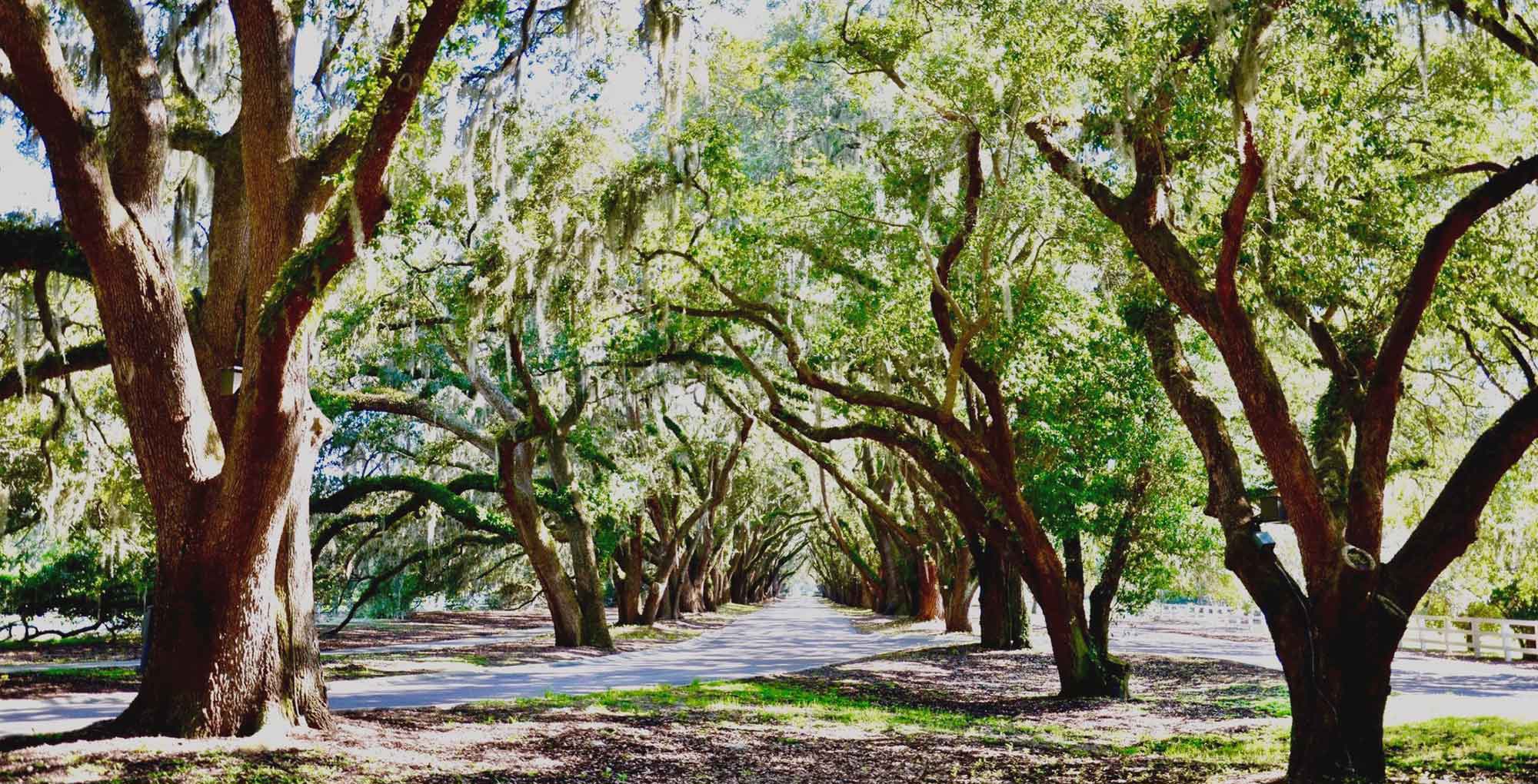 belfair-homes-for-sale-bluffton-sc-real-estate