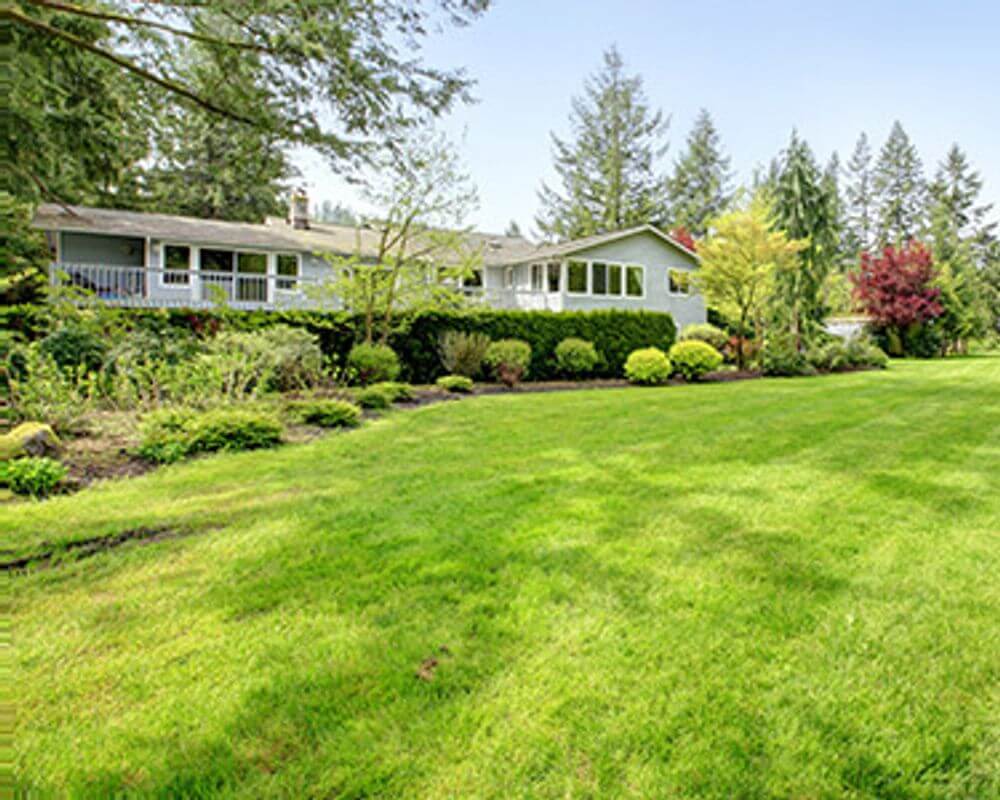 Search Surprise Homes with Acreage for Sale