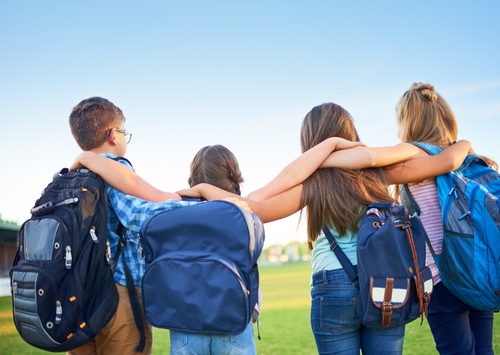Top Schools in Surprise AZ