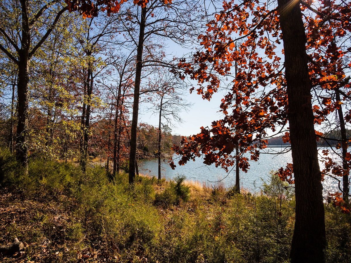 Autumn trees framing Lake Richard B. Russell at Richard B. Russell State Park in Elbert County