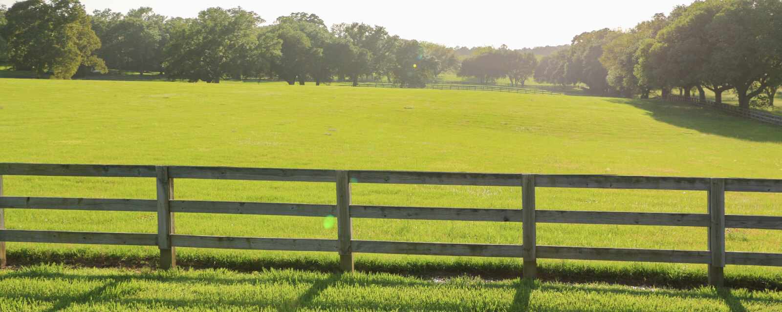 Gulf Coast Acreage Real Estate