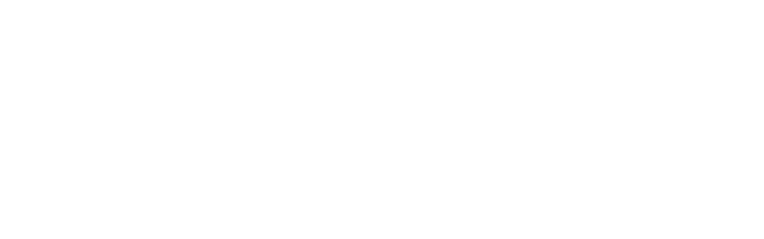 VS Team