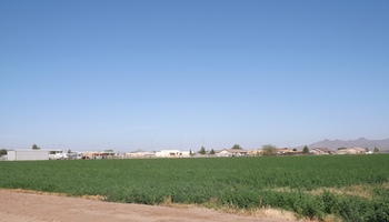 1 Acre Buckeye Horse Property