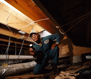 CrawlspaceInspectTerminix