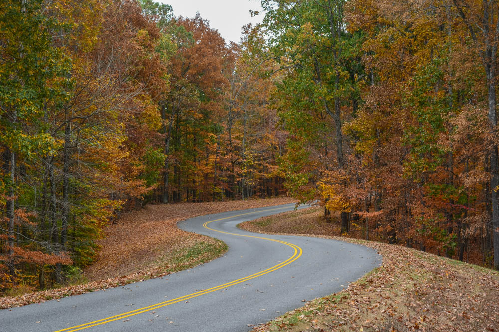 Buy a home, farm, or land in Western & Central Tennessee