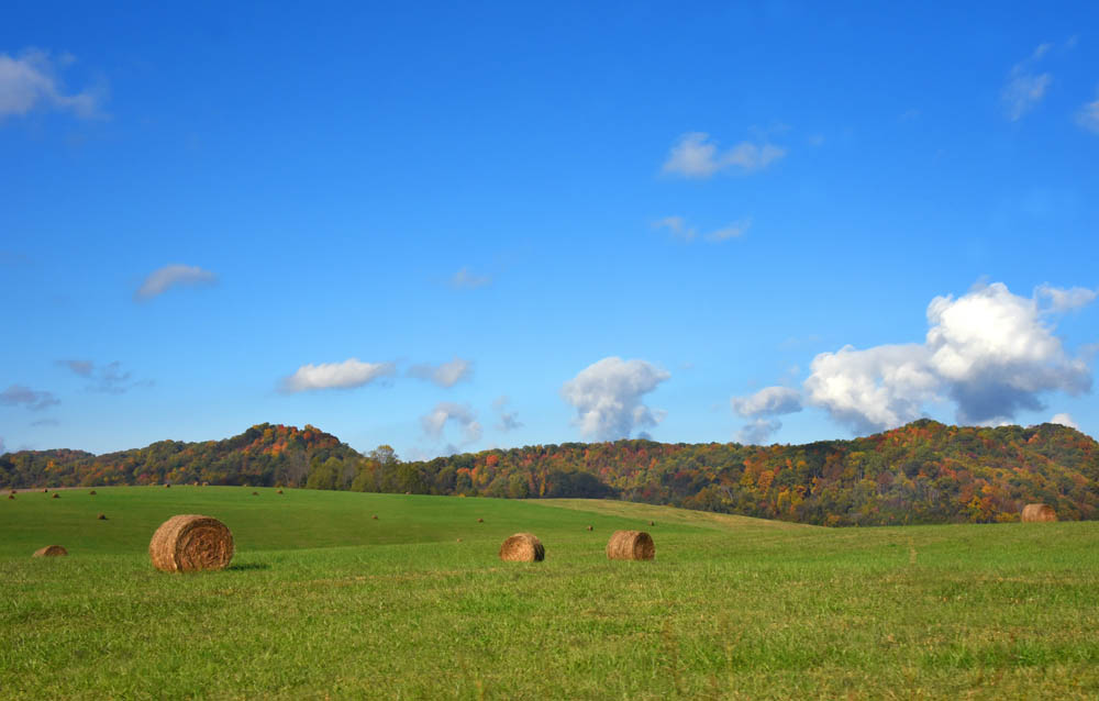 Western & Central Tennessee home and land value