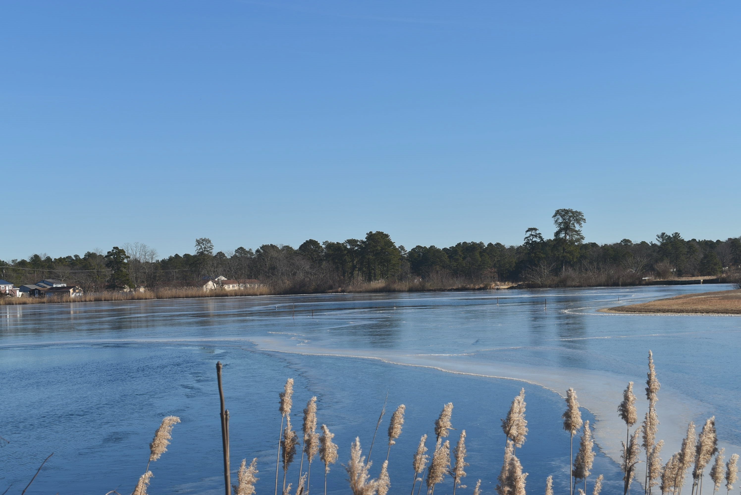 Collings Lakes Lots and Land Local Expertise by Joe Wiessner Realty