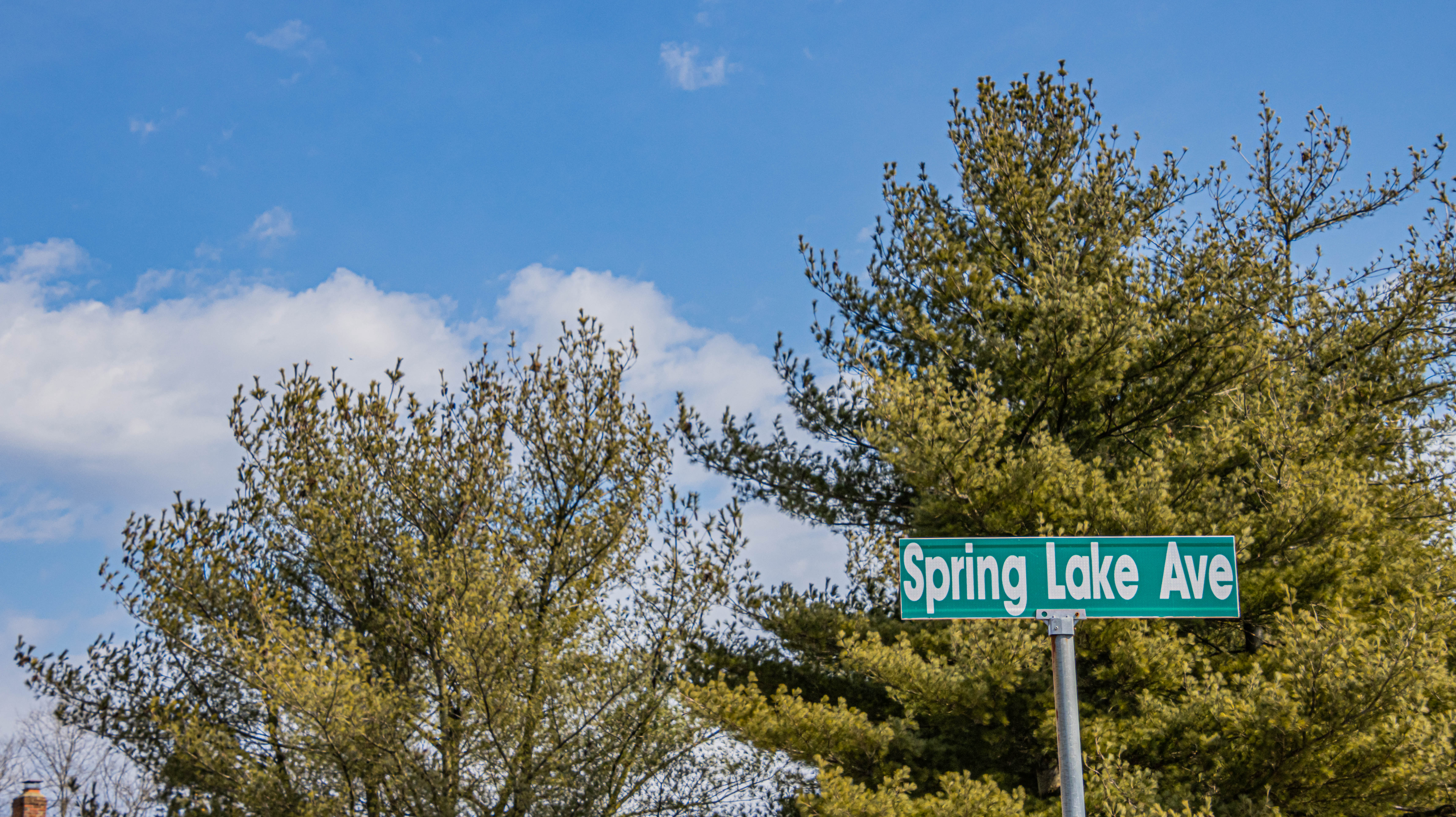 Spring Lake's Washington Township Picks: JWR™ Unveils