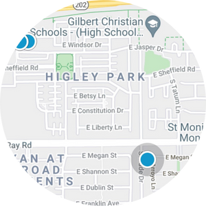 Higley Park Homes for Sale