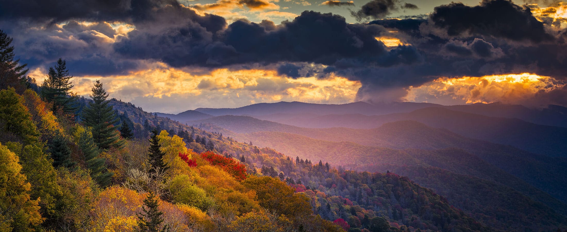 1230 Iredell Ave, Knoxville, 37921