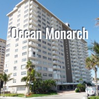 Ocean Monarch