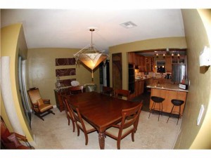 Fisheye lens