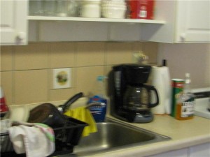The kitchen sink