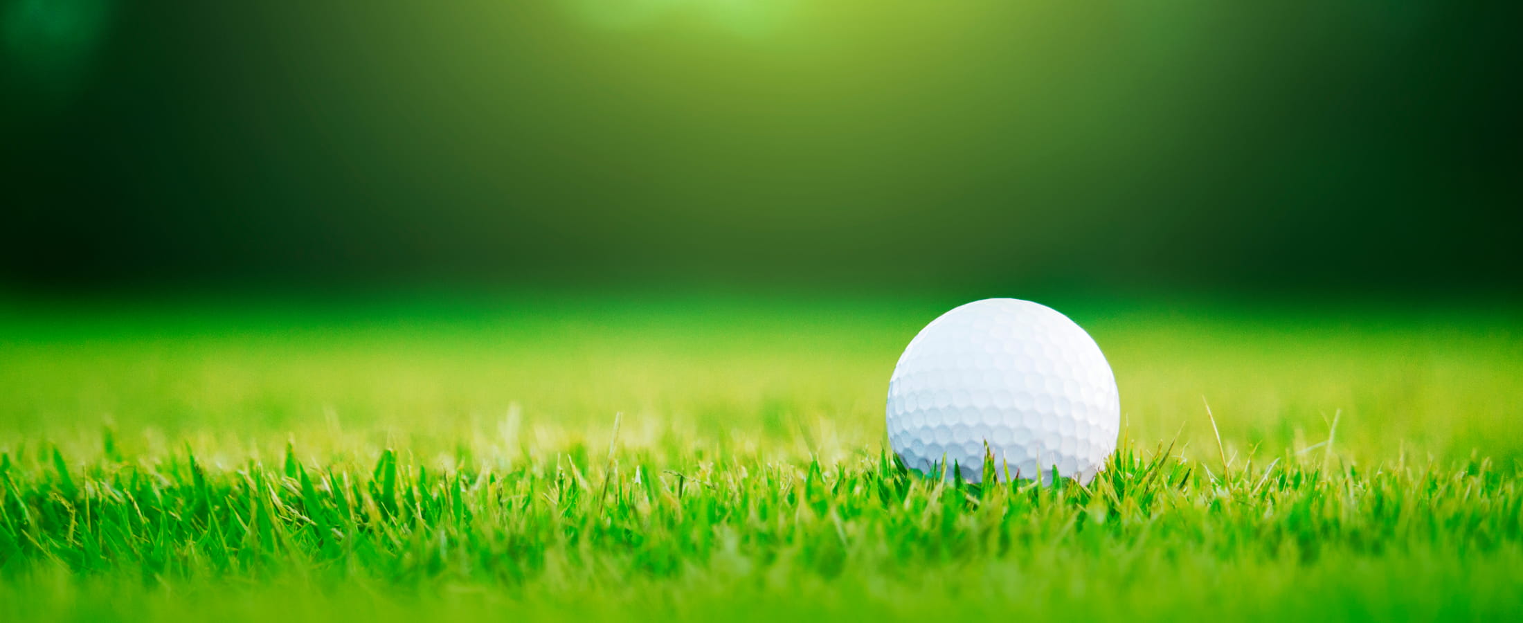 Tom F. Miller -Your Florida Realtor at SWFLReal-Estate.com