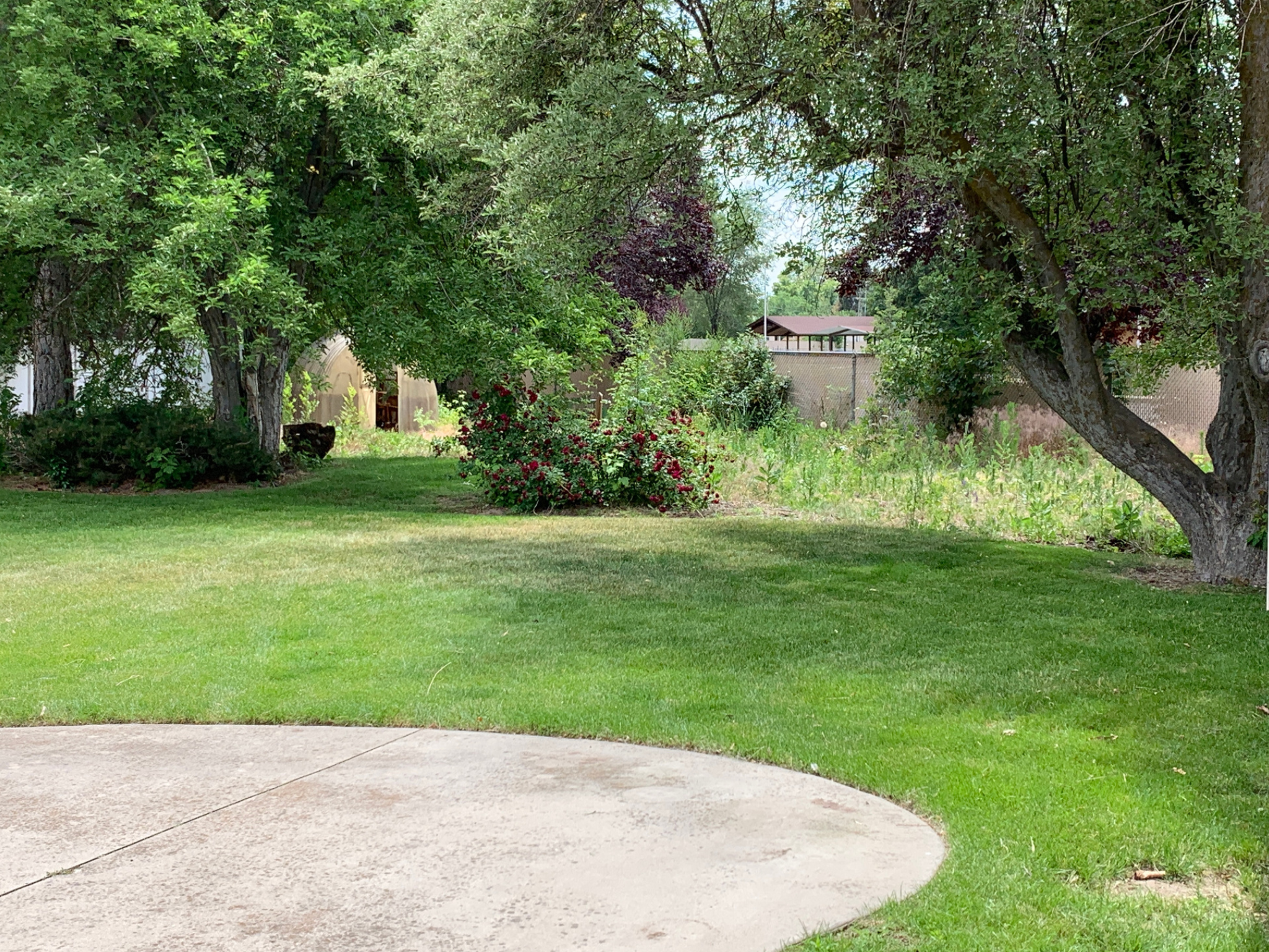 Yard