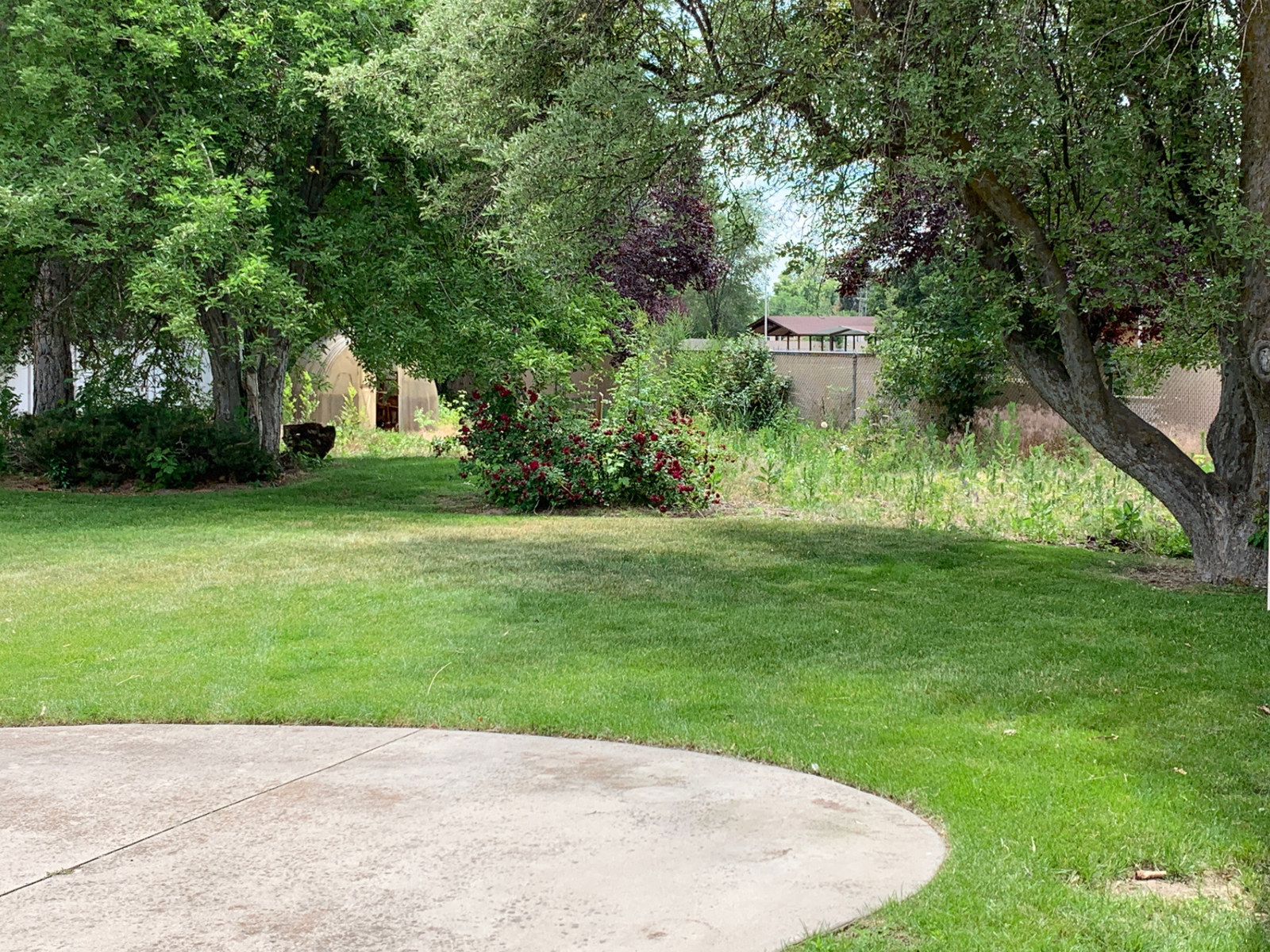 Yard