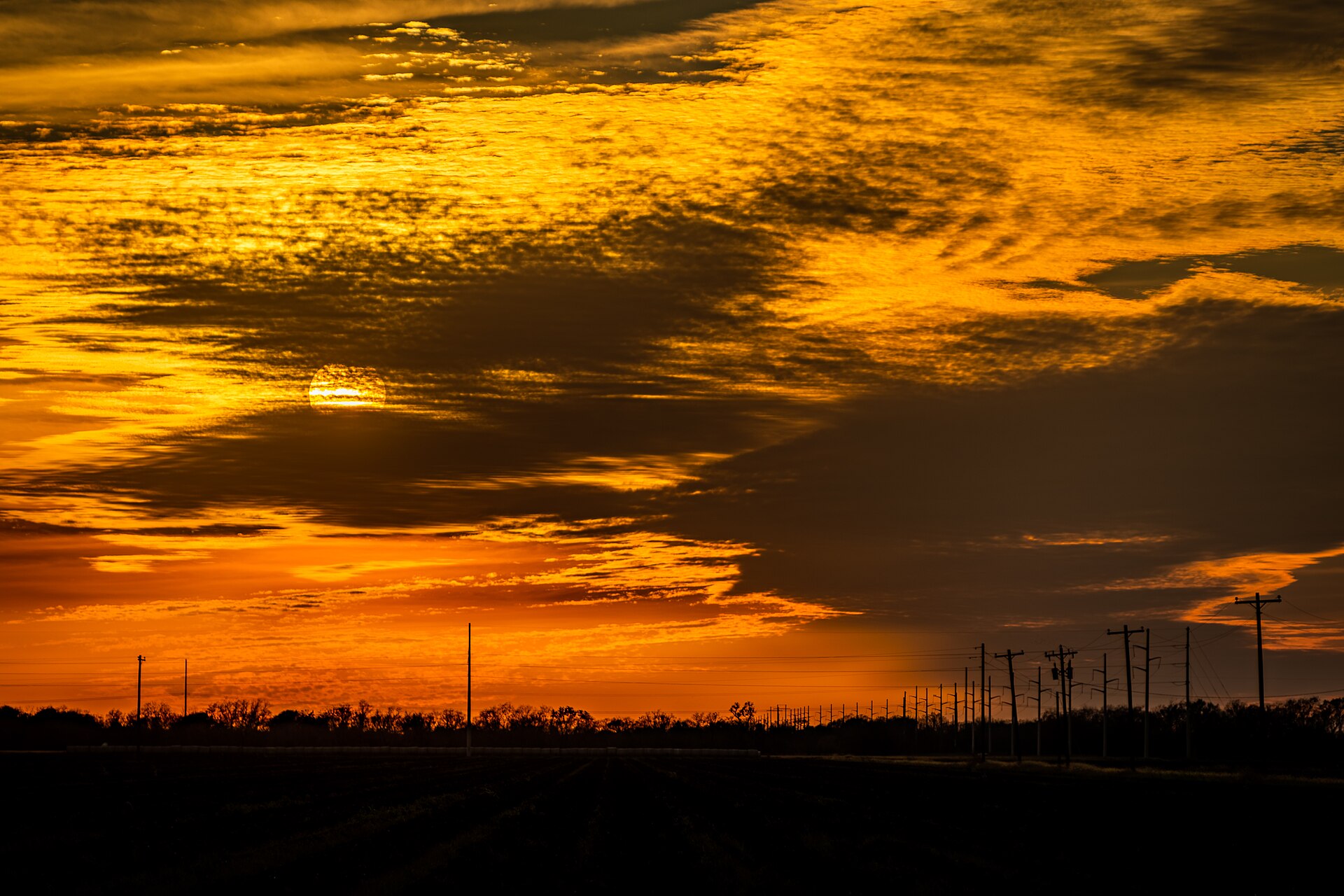 Texas farmland at sunset