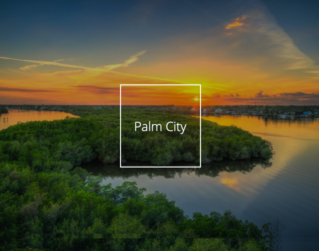 Search Palm City Homes