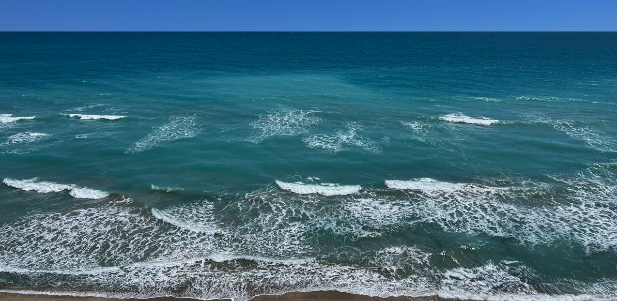 Regency Condo Direct Ocean View