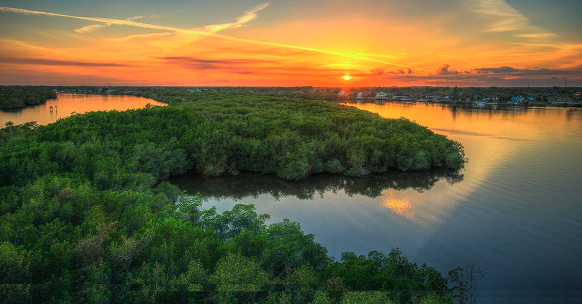 Veterans Memorial Bridge, Palm City