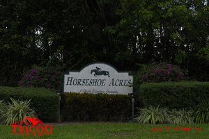 Horseshoe Acres Boca Raton Homes For Sale