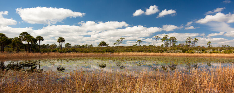 Photographer's Paradise: The 9 Most Idyllic Photo Spots In Palm Beach County