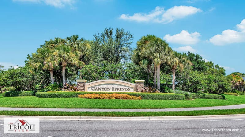Canyon Springs Boynton Beach Homes For Sale