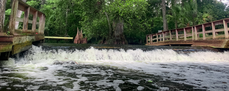 Loxahatchee River