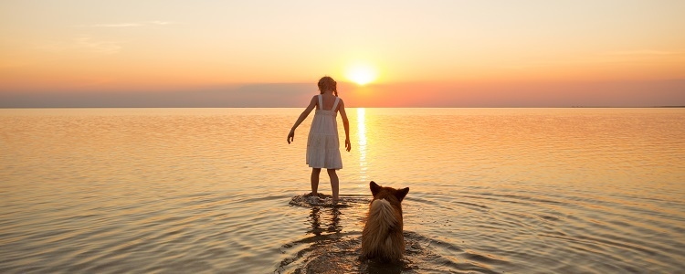 7 Dog-Friendly Beaches In Palm Beach County That Your Pup Will Love