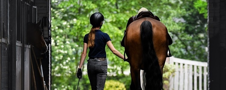 wellington florida equestrian communities