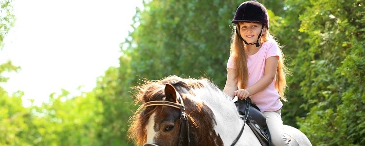wellington florida equestrian communities