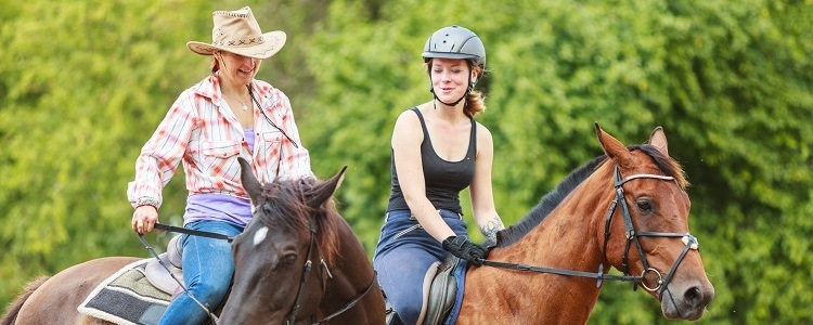 wellington florida equestrian communities