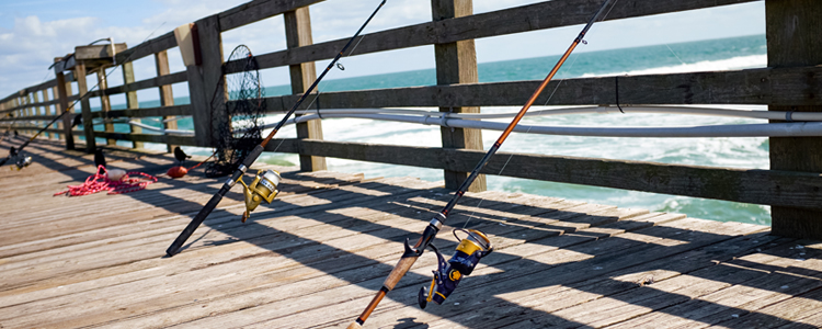 Check Out The Fishing Pier By Limestone Creek Park In Palm Beach County