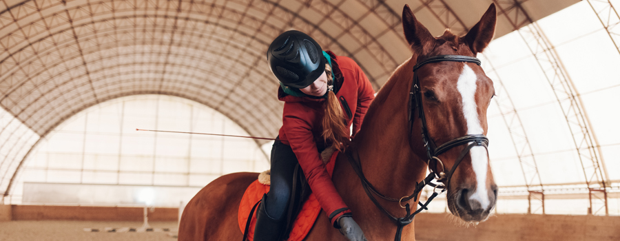 Palm Beach Point Farms Has Olympic-sized Arenas!