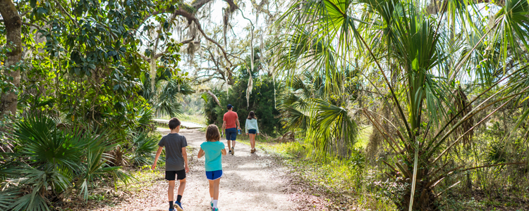 Enjoy The Nature Trails At Atlantic Dunes Park In Palm Beach County