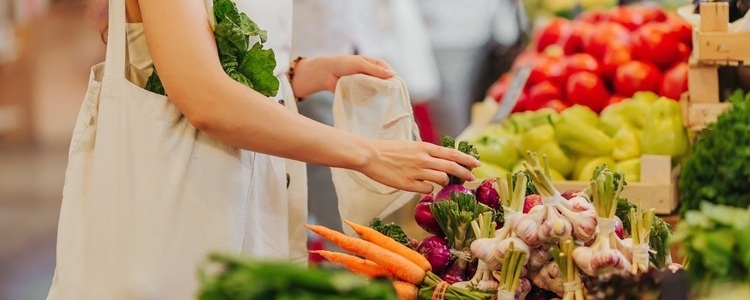 Navigating Palm Beach County's Vibrant Farmers Market Scene
