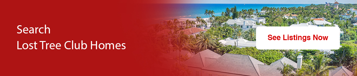 Why Are Museums Such A Huge Part Of Palm Beach County's Identity?