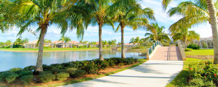 walking trail
