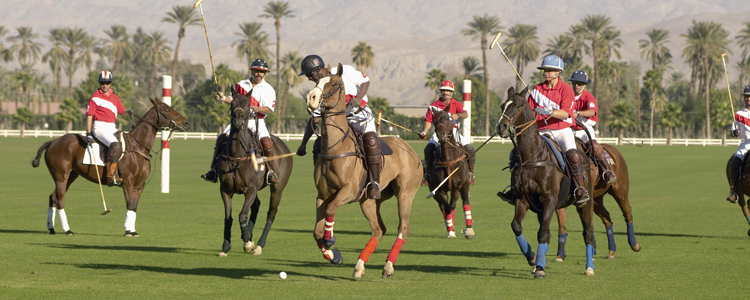 Watch A Polo Match At Palm Beach Polo and Country Club