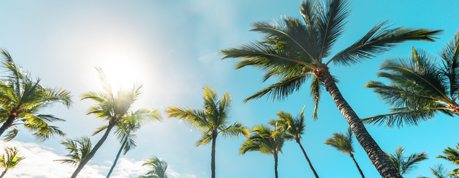 Boynton Beach - Sun