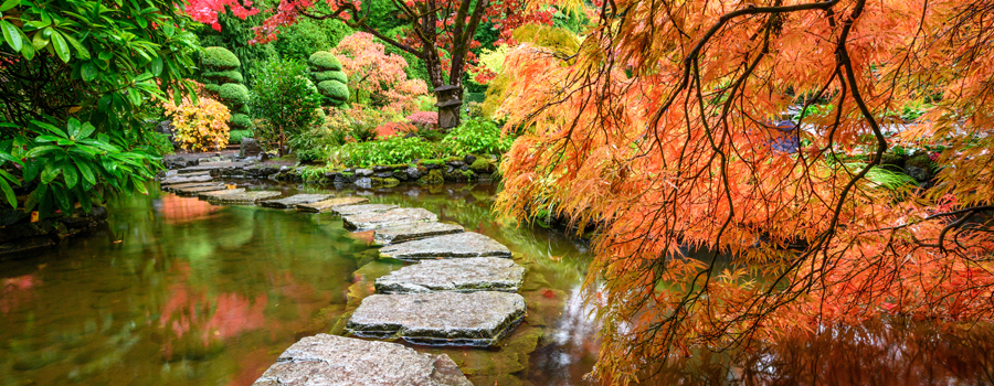 Cultural Attractions - Japanese Garden