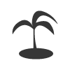 Special Icon