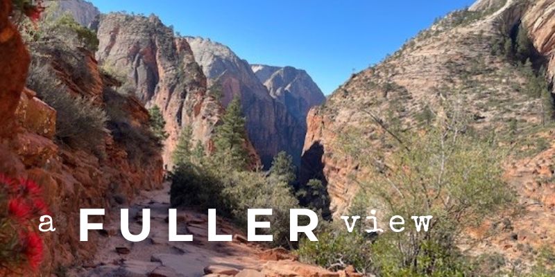 A Fuller View